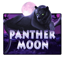 เกม Panther Moon Joker