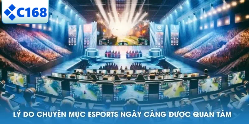 Lý do chuyên mục Esports ngày càng được quan tâm